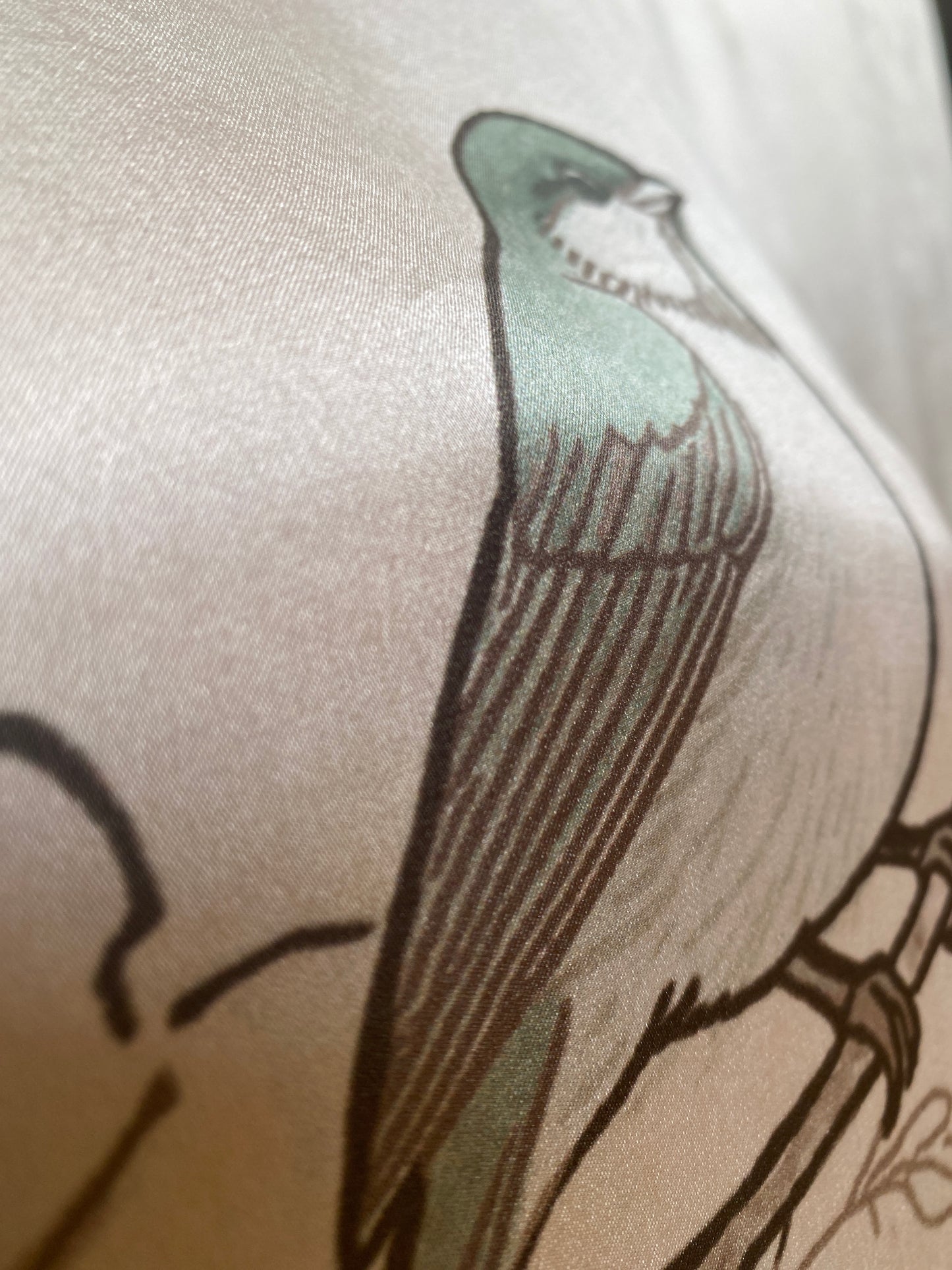 Birds in the Mist